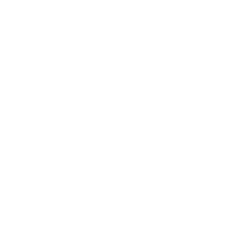 Redwolf Software logo